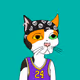 RCFmamba