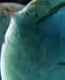 9b877a