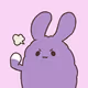 Morlusa_STRP