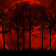 THUNDERFOREST
