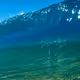 Anonymous_004