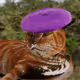 Tikogav