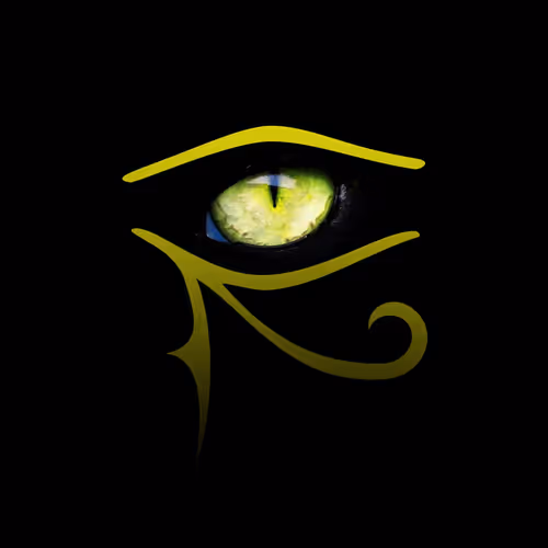 OpenSea profile picture for @Sighted