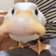 NotLeancup