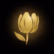 Tulipcrypto