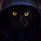 DarkCatt