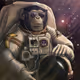 Nft-Ape