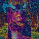 CryptoKuriosity
