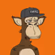 Felypon1