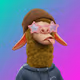 wibbo