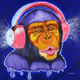 Lit_NFTs