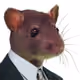 hoykx
