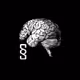 The_Gray_Matter