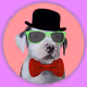 TheNFTDogPound