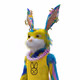 fluf2148