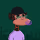 Scottoldacc