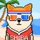 Shiboshiworld