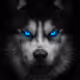 Wolfangz