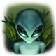 Tibaliti