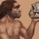 Denisovan