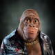Vonkiflonk