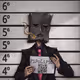 Pipolipio