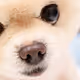 0x7cc1ab23c0f0b949b4737c207f40e9fbd71b3070