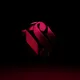 0x7cd3e5a22ef1ae4007b5a156a435d9b25acd229d