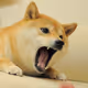 0x7d01dd0c1c293c73500d00d649516161cee3e387