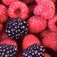 RasP_Berries