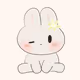 tokki_Kitto