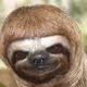 Slothmode