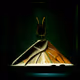 mothshots