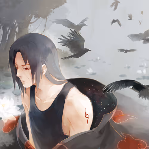 OpenSea banner for @Rittik