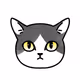 nyansuke
