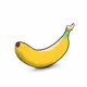 Thamna_