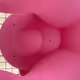 Venus_Inside