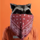 BANDIT66