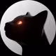 _kitteh