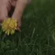 AugustMoon