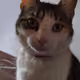 LeNeko