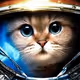 kittypitty