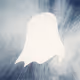 spookyboy_io