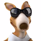Kangaroo3