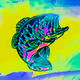 0x7e5e79b47db806c4748e615c19208636a6f1658a