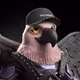 MaddieCrypto