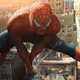 spideraranha