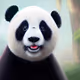 PandyPaws