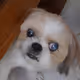 chillgurl