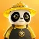 shyamcoypto